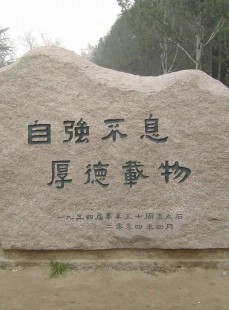 桌面上的一平方米激励