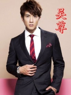 # 意难平！吴尊电视剧大全集，隐婚男神也曾是偶像剧天花板