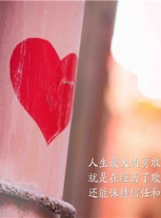 拥抱生命之光与影：完整人生的唯美注脚
