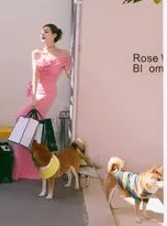 李一桐春日花间写真曝光 一袭粉裙携萌犬诠释多面魅力