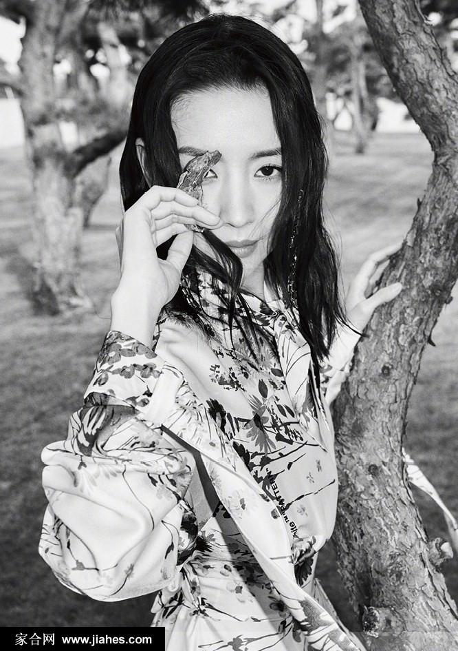 董洁化身松林精灵 凌厉眼神演绎光影间的静谧与力量  第2张