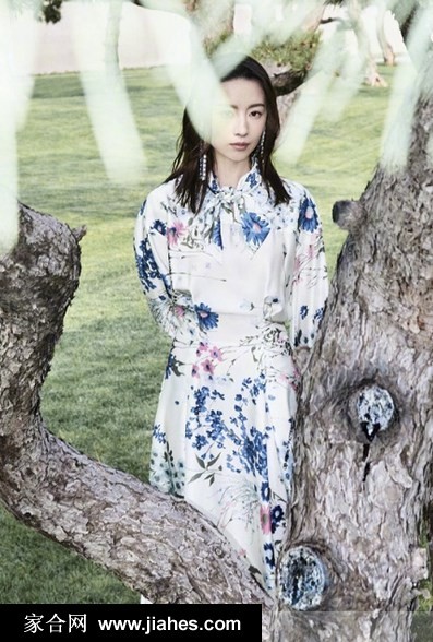 董洁化身松林精灵 凌厉眼神演绎光影间的静谧与力量  第3张