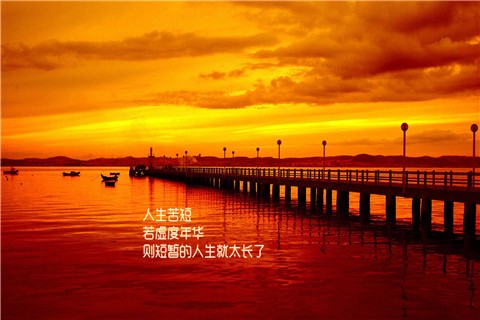 拥抱生命之光与影：完整人生的唯美注脚  第3张