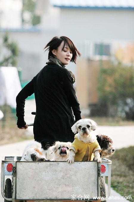 孙俪春日焕新演绎活力风姿  第1张