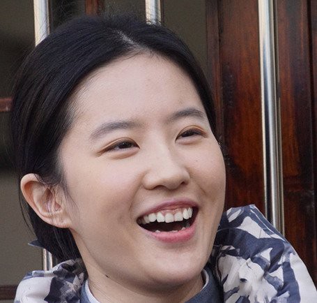 刘亦菲现象：外籍身份零绯闻却成顶奢女王  第1张